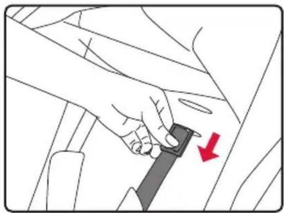 BRITAX B-Clever - Adjusting the Harness - 1