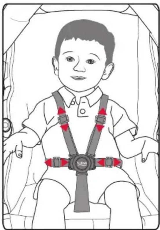 BRITAX B-Clever - Sujeción del niño - 2