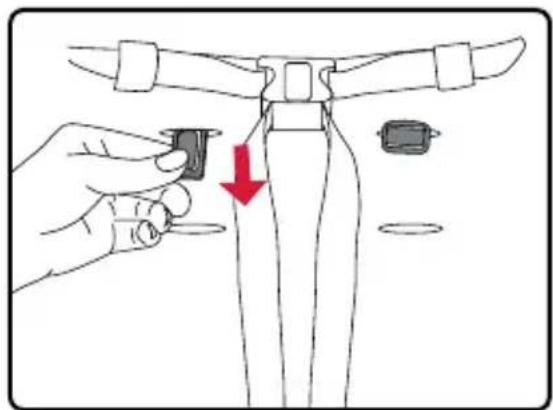 BRITAX B-Lively - Adjusting the Harness - 2