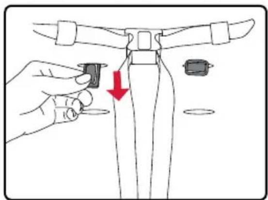 BRITAX B-Free - Adjusting the Harness Height Manually - 2