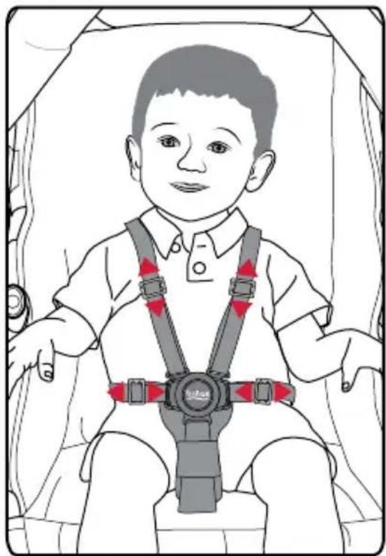 BRITAX B-Free - Attacher votre enfant - 3