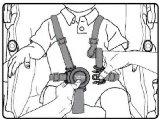 BRITAX B-Free - Attacher votre enfant - 2