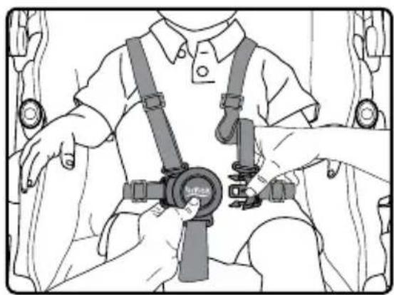BRITAX B-Free - Securing Your Child - 2