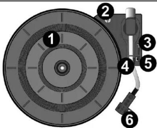 Audizio RP335 - RESUMEN - 1