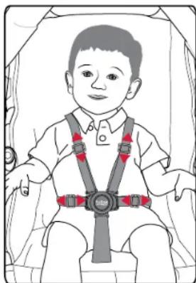 BRITAX B-Lively Double - Attacher votre enfant - 3