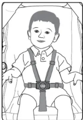 BRITAX B-Lively Double - Sujeción del niño - 3