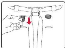 BRITAX B-Lively Double - Adjusting the Harness - 2