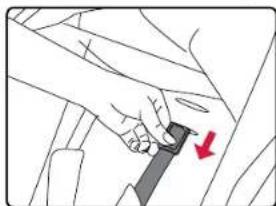 BRITAX B-Lively Double - Adjusting the Harness - 1