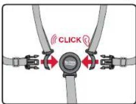 BRITAX B-Lively Double - Using the Harness - 1