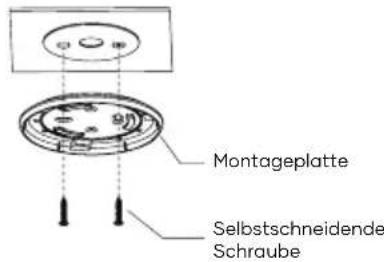 SAVS H10 - Installationsschritte - 1
