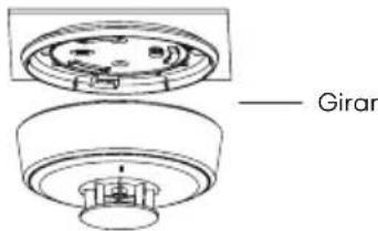 SAVS H10 - NOTA - 1