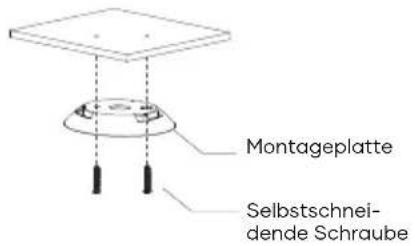 SAVS S10 - Installationsschritte - 1