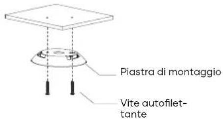 SAVS S10 - Fasi dell'installazione - 1