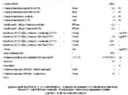 Palazzetti Asia - Matr N° LT000000000000000000000 - 1