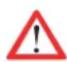 Palazzetti Ecomonoblocco EM16:9 3D - PRECAUCIONES PARA LA SEGURIDAD - 1