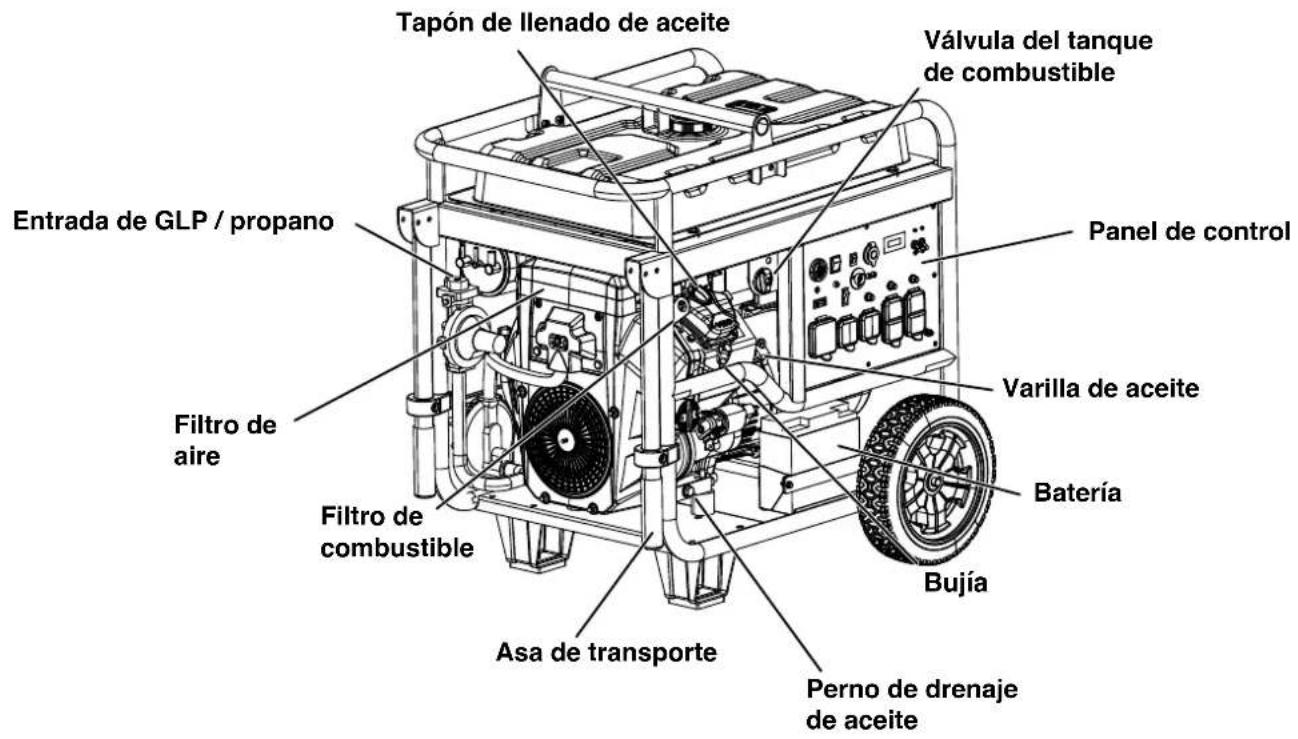 Tapón de llenado de aceite Válvula del tanque de combustible Entrada de GLP / propano Panel de control Filtro de aire Varilla de aceite Batería Filtro de combustible Asa de transporte Bujía Perno de drenaje de aceite
