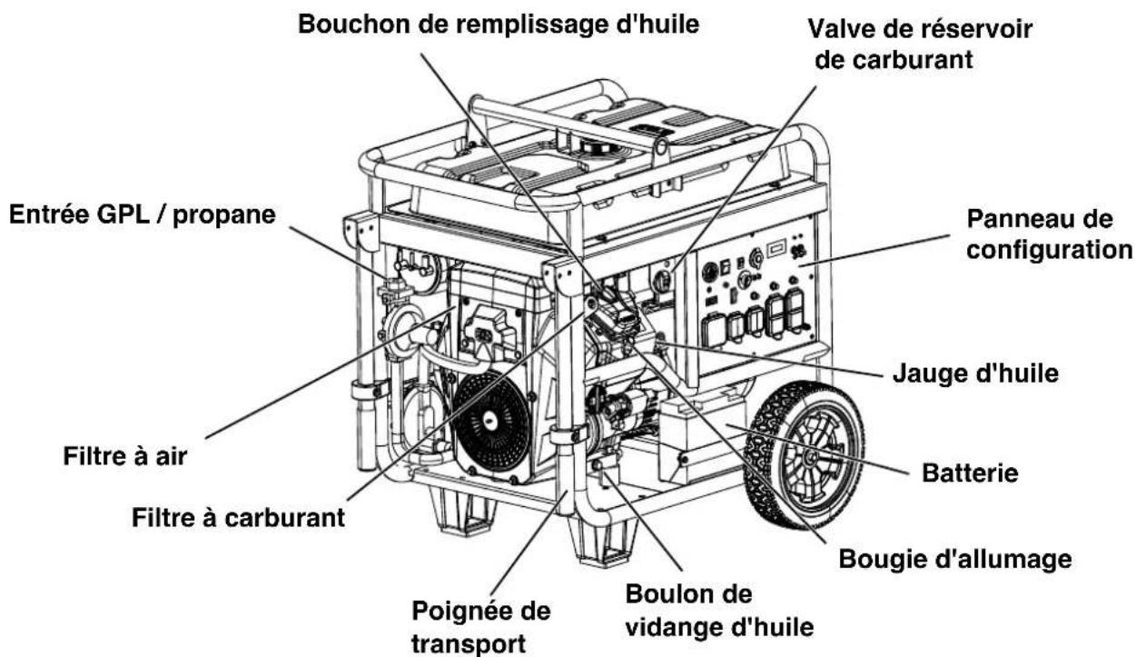 Bouchon de remplissage d'huile Valve de réservoir de carburant Entrée GPL / propane Panneau de configuration Jauge d'huile Filtre à air Batterie Filtre à carburant Bougie d'allumage Poignée de transport Boulon de vidange d'huile