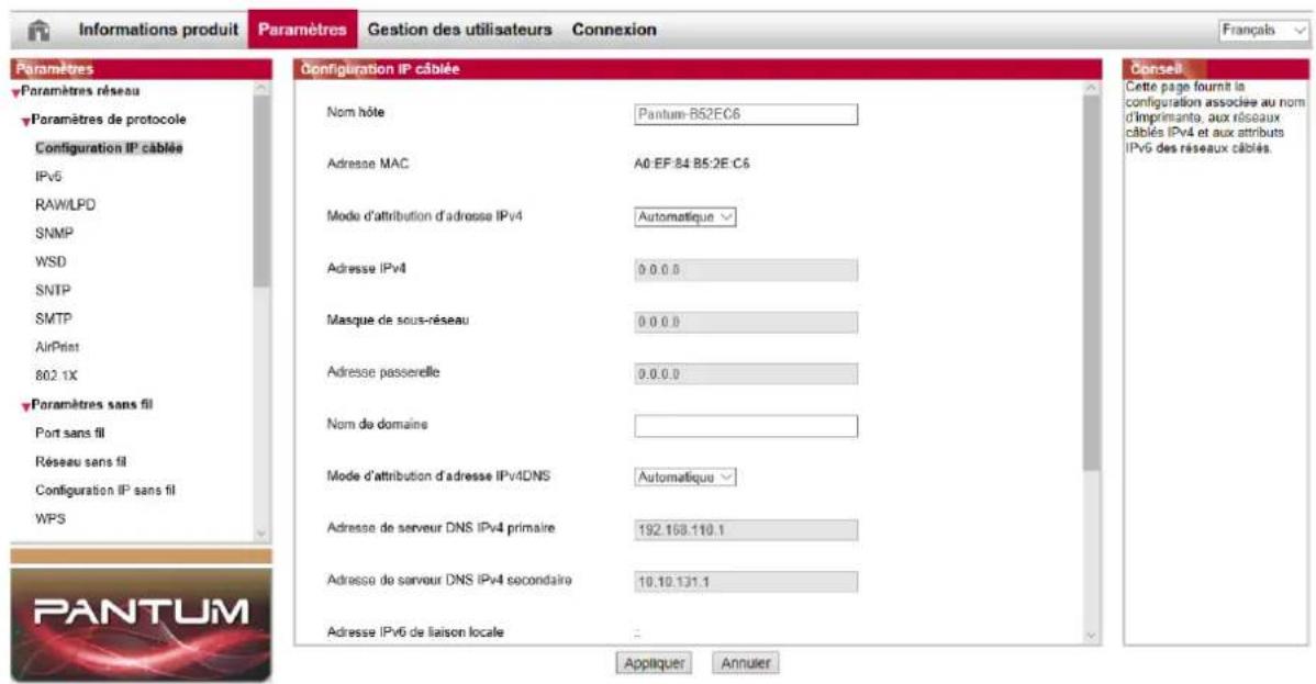 PANTUM BP5205DN - Serveur Web - 1