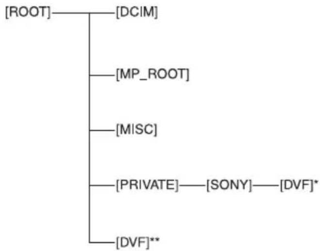 SONY NEX-EA50UH - DV mode folder structure - 1