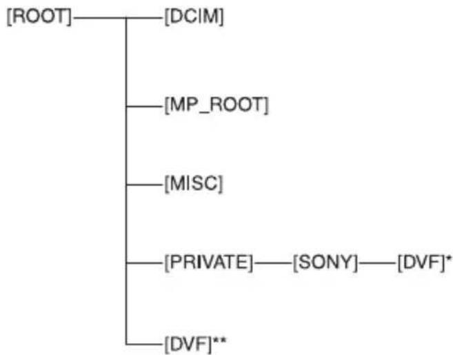 SONY NEX-EA50UH - Struttura delle cartelle nella modalità DV - 1