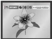 SAMSUNG DVD-E135 - ПРИМЕЧАНИЕ - 4