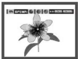 SAMSUNG DVD-P650K - Слайд-шоу - 1