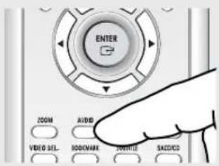 ENTER ZOOM AUDIO VIDEO SEL. RODUMARK TORTLE SACIDOS