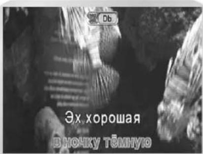 SAMSUNG DVD-V8050K - Выбор мужского-женского голоса - 1