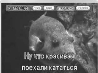 SAMSUNG DVD-V8550K - Функция "Мелодия" - 1