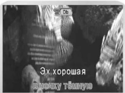 SAMSUNG DVD-V8550K - Выбор мужского-женского голоса - 1