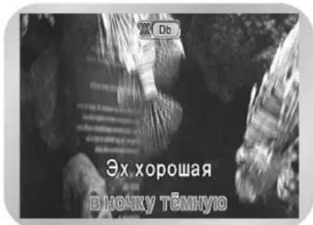 SAMSUNG DVD-V8000K - Выбор мужского-женского голоса - 1