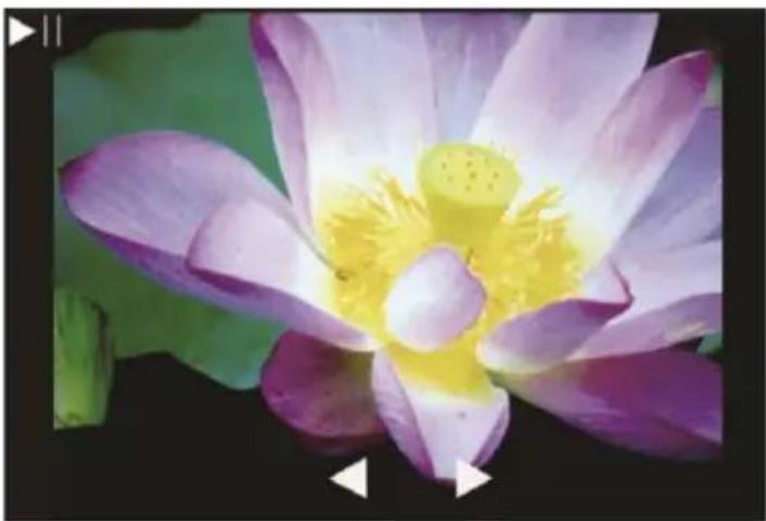 Reflecta x44-Scan - Scansione delle immagini - 3