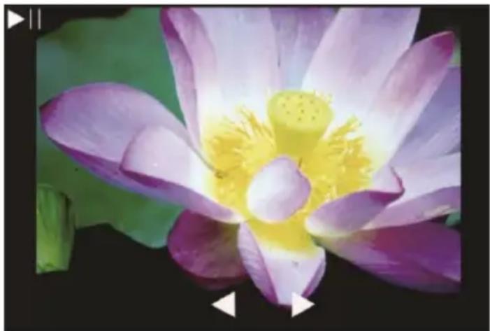 Reflecta x44-Scan - Gallery mode - 2