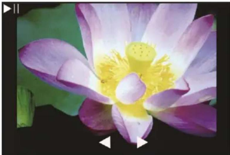 Reflecta x44-Scan - Festlegen des Bildausschnitts - 3