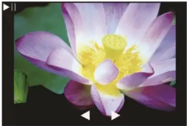 Reflecta x44-Scan - Réglage du cadrage - 3