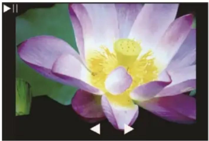 Reflecta x44-Scan - Ajuste del encuadre - 2