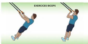 EXERCICES BICEPS