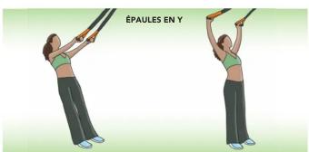 ÉPAULES EN Y