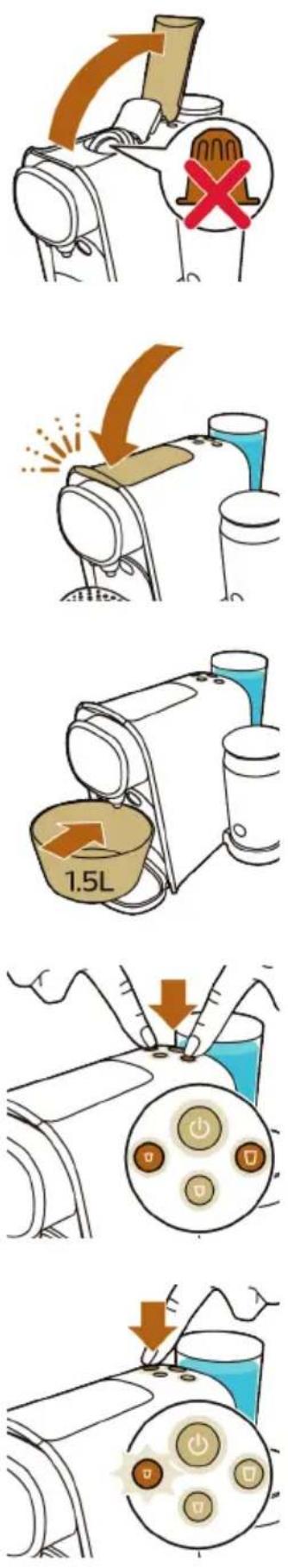 L'or Barista LM8018 - Procedimento de descalcificação - 2