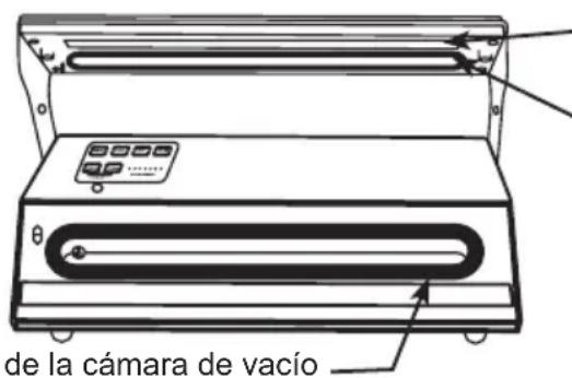 Weston 65-0501-W - SELLOS DE LA CÁMARA DE VACÍO - 1