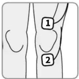REVITIVE Medic Knee 5574AQ - Posizionamento dell'elettrodo piccolo per il corpo per alleviare il dolore - Modalità TENS - 1