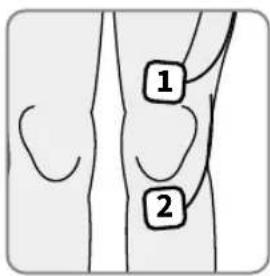 REVITIVE Medic Knee 5574AQ - Plaatsing van dekleine lichaamselektroden voor pijnverlichting - TENSmodus - 1