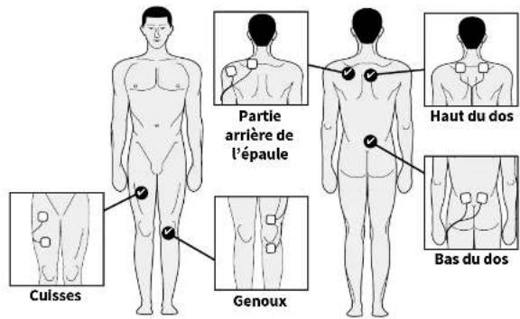 Partie arrière de l'épaule Haut du dos Cuisses Genoux Bas du dos