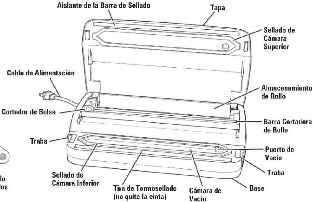 Weston 65-3001-W - Piezas y Características - 2
