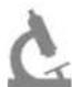 REVITIVE Arthritis Knee 2836AB - ARTHROSE - 2