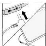 REVITIVE Arthritis Knee 2836AB - Utilisation des grandes électrodes Arthrose pour l'électrostimulation musculaire (EMS) - 3
