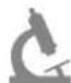 REVITIVE Arthritis Knee 2836AB - ARTHROSE - 4