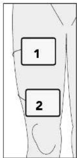 1 2