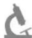 REVITIVE Arthritis Knee 2836AB - ARTHROSE - 3