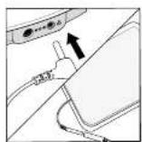 REVITIVE Arthritis Knee 2836AB - Do NOT use the Body Pads on your head, face, neck or chest. - 3